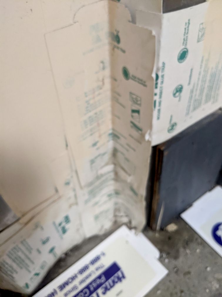 This is a reason why a professional was called. Ru