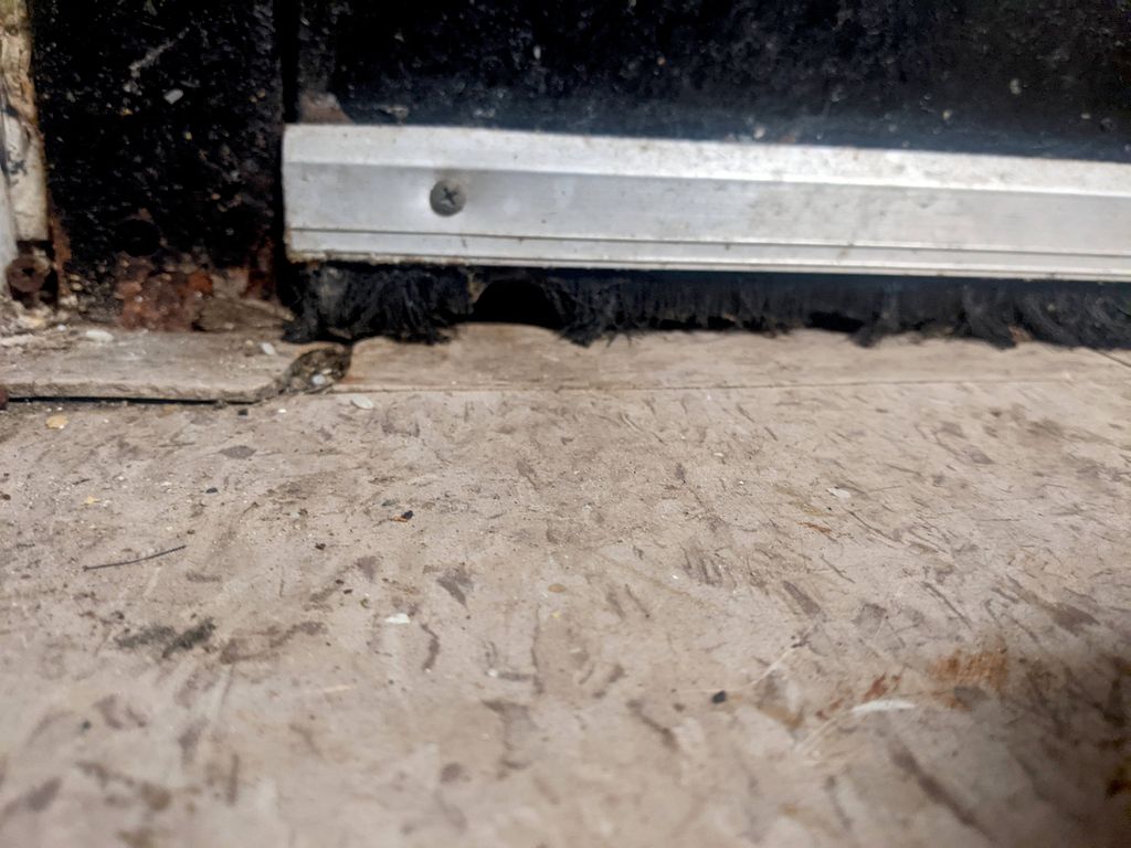 Rodent n pest always find a way in!! Full inspecti