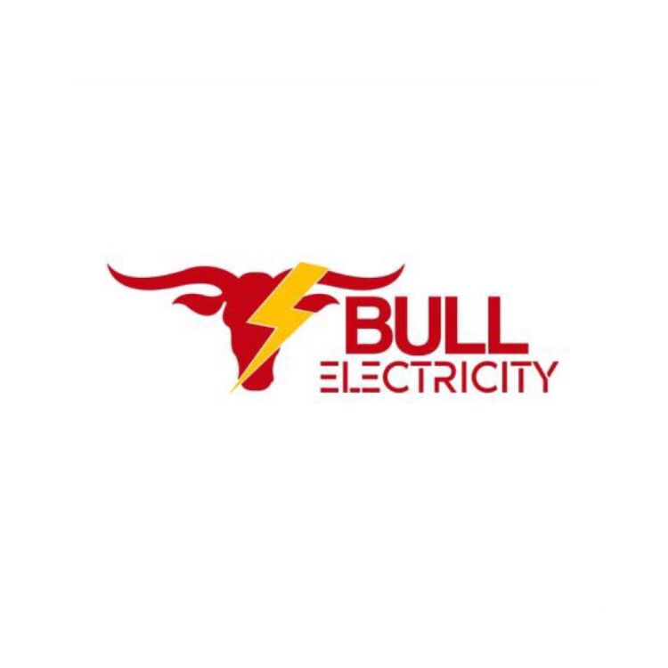 Bull Electricity