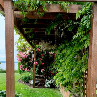 Avatar for Continental Yard Care and Fence