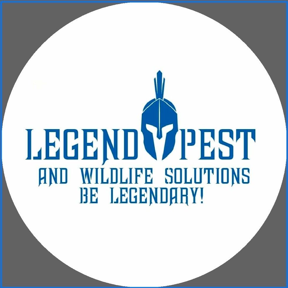 Legend Pest and Wildlife Solutions LLC