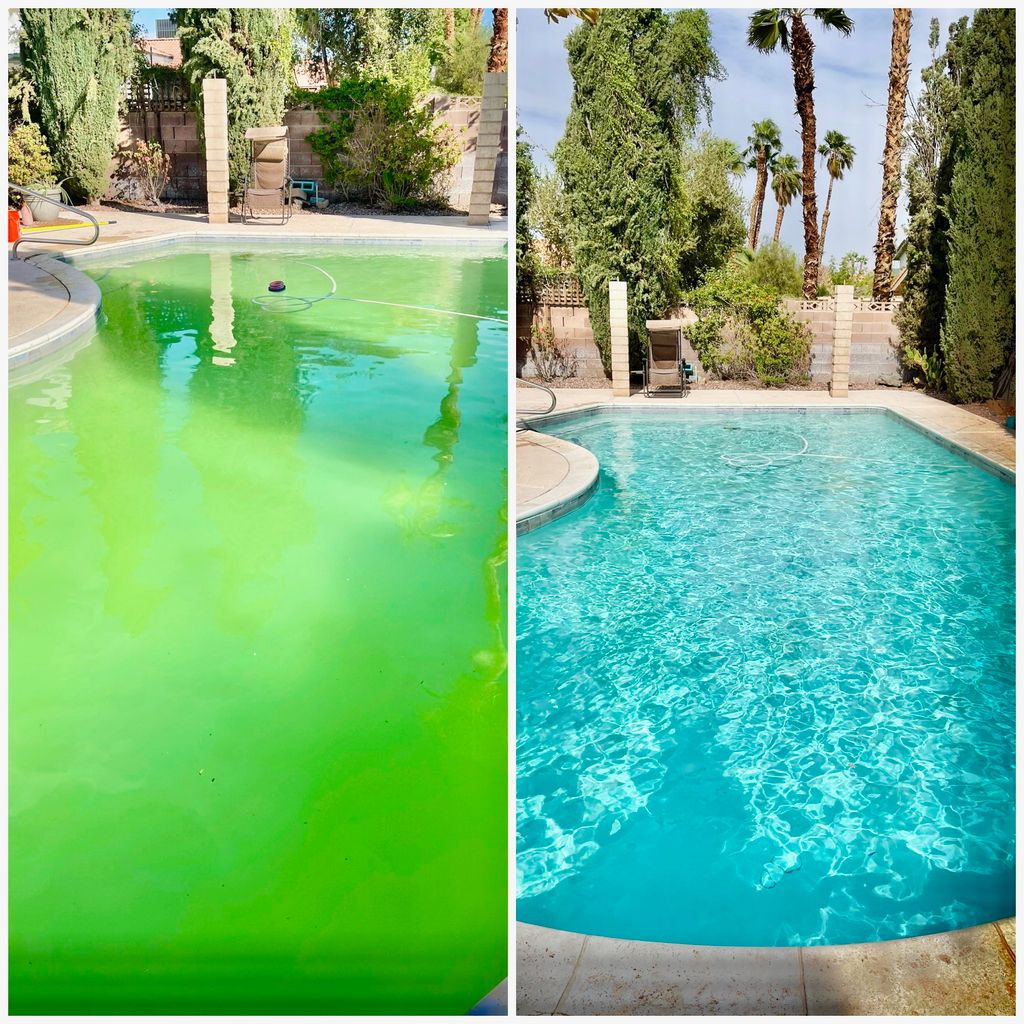 Previous pool company abandoned the pool and it tu