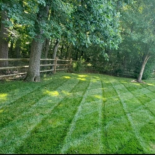 mowing perfect line  🙂