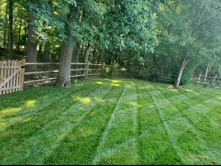 mowing perfect line  🙂