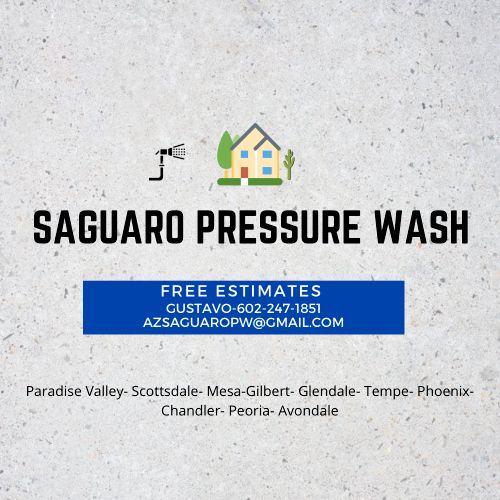 Saguaro Pressure wash