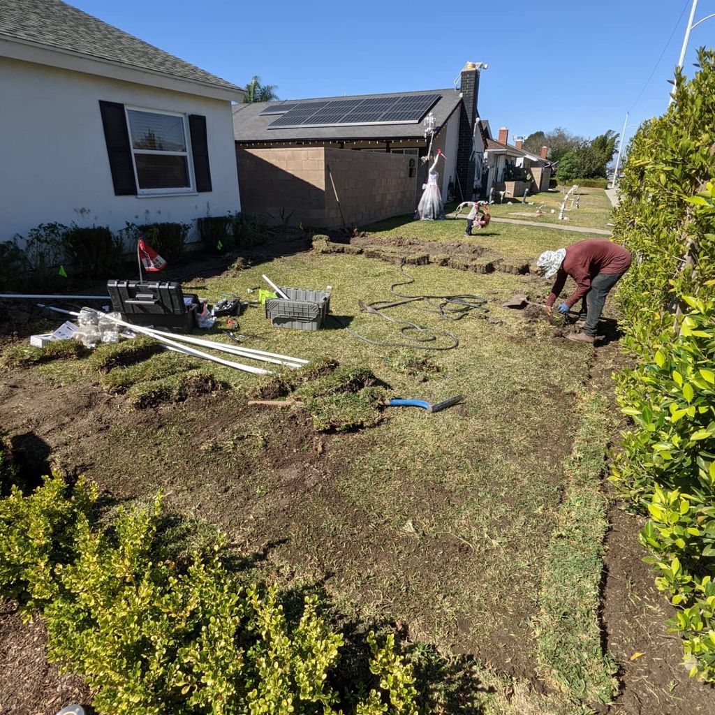 new irrigation system