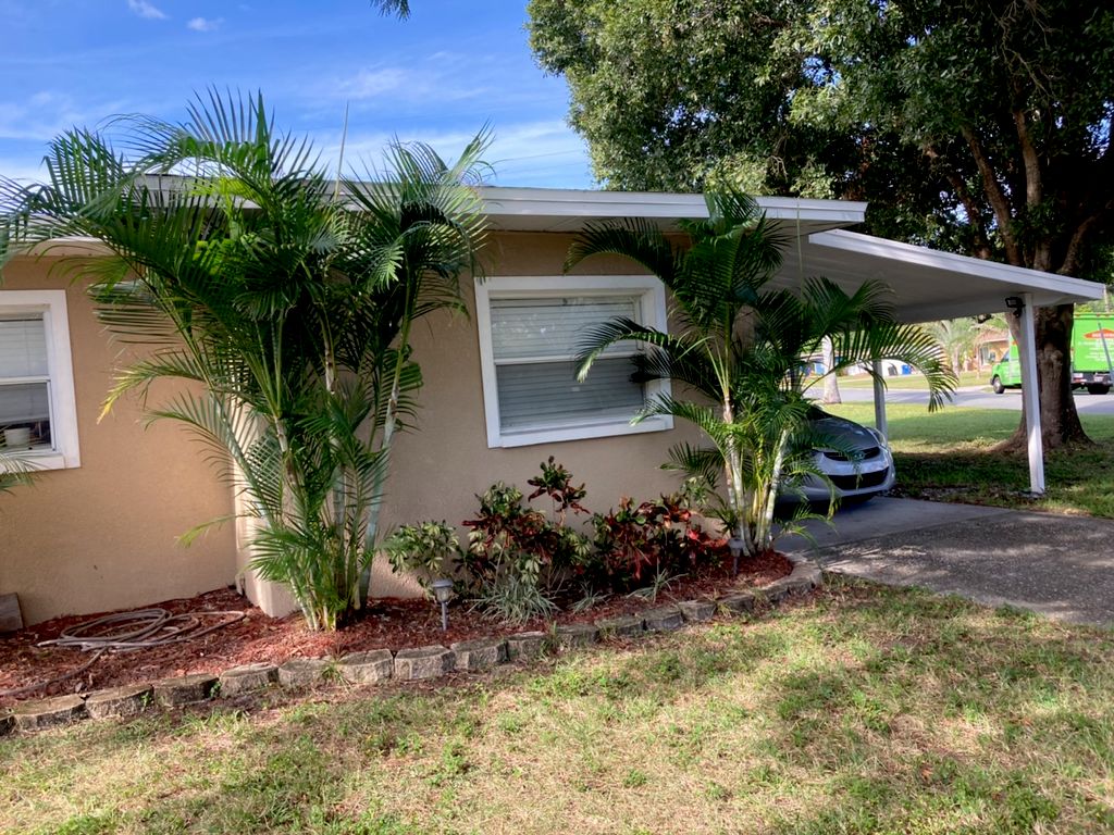 Weeded and trimmed up shrubs and palms