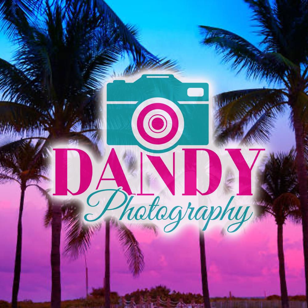 Dandy Photography LLC