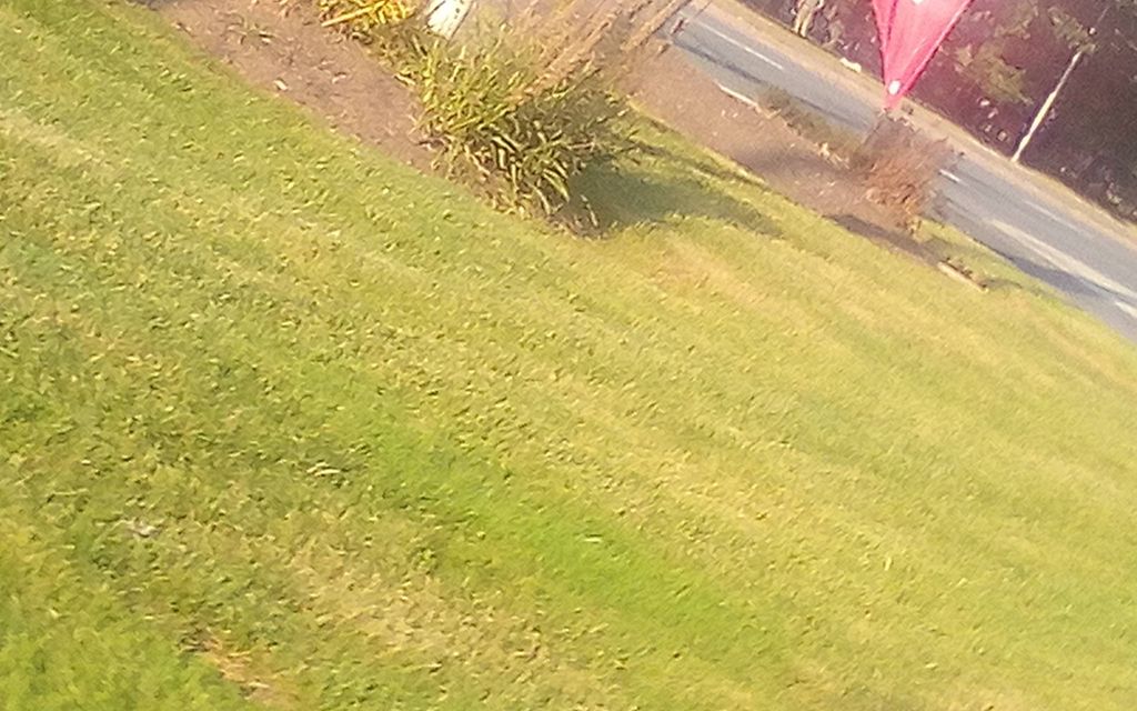 trimming Flower bed