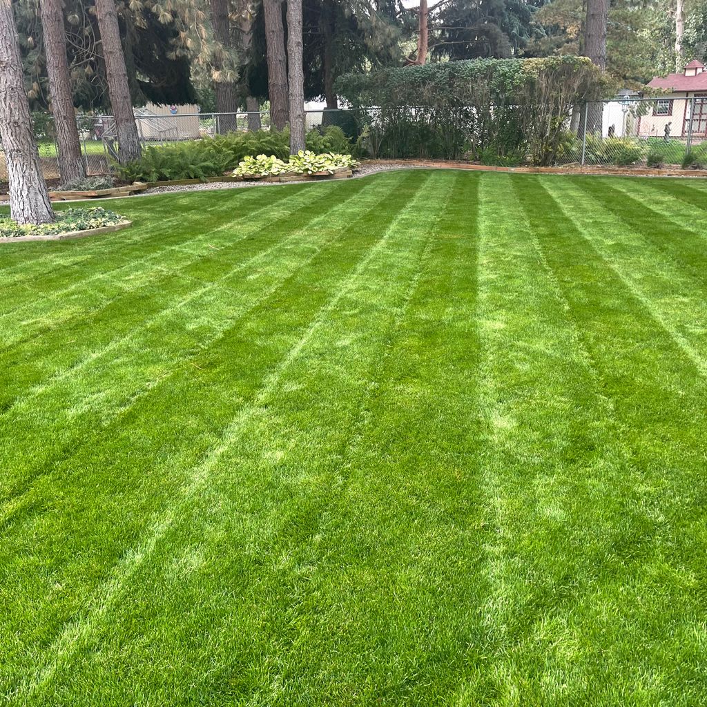 Clean Green Lawn Care
