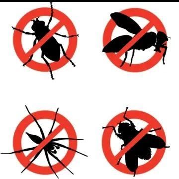 Avatar for H&H Pest Control