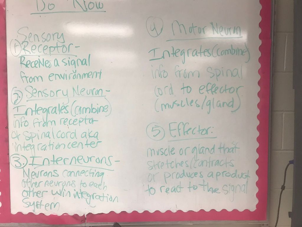 AP Biology Notes on the Nervous System:  Breaking 
