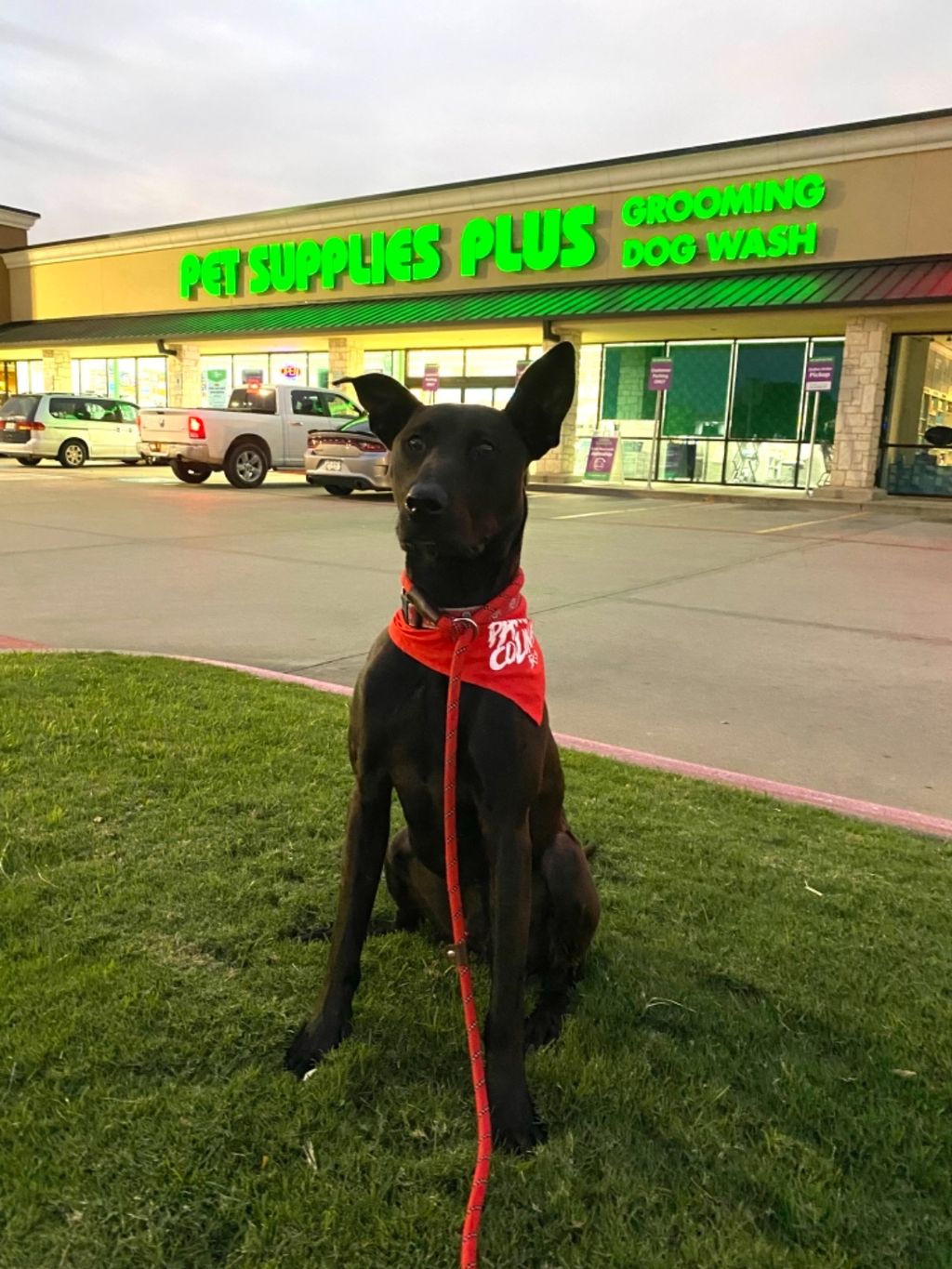 Customer photos