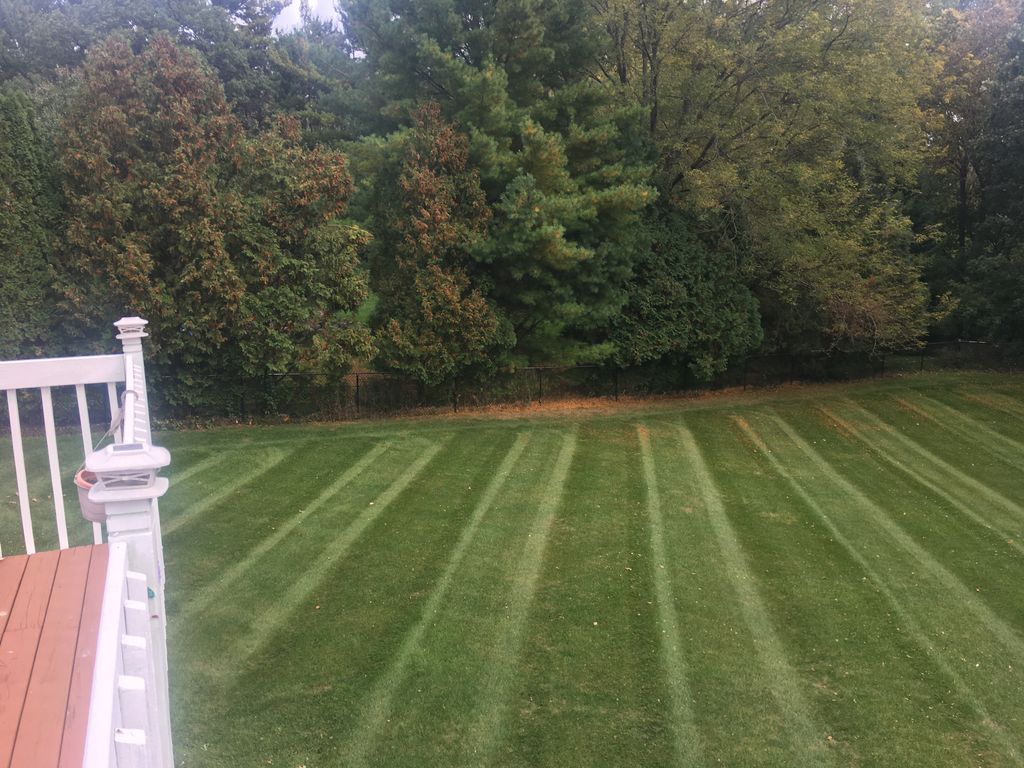 Lawn mowing 
