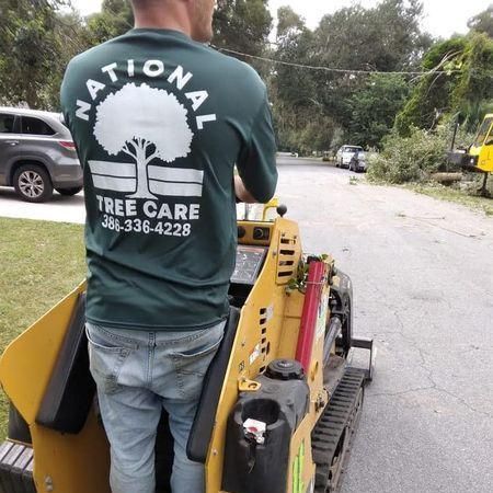 National Tree Care