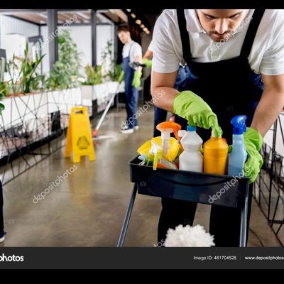 Avatar for Sandra's pro cleaning service