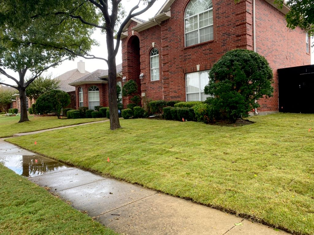 After sod installation 