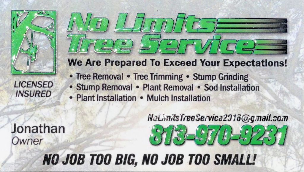 No Limits Tree Service