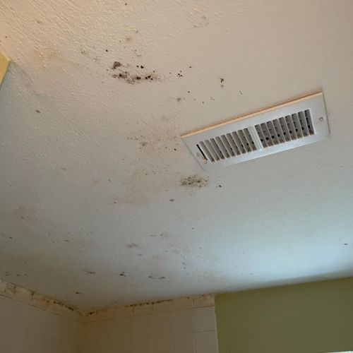 Mold on bathroom ceiling