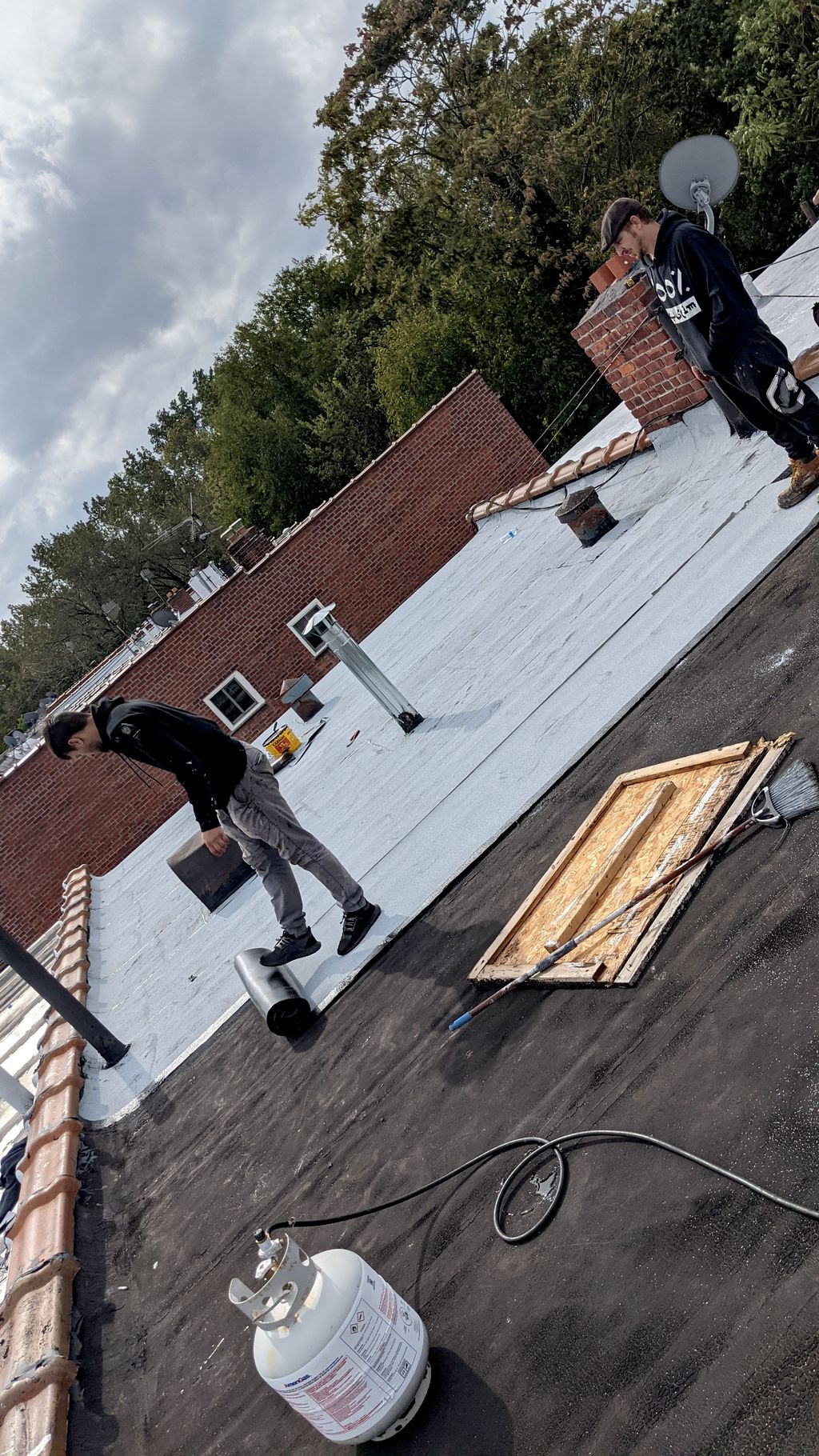 Projects and media