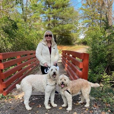 Avatar for Fetch! Pet Care of Loveland
