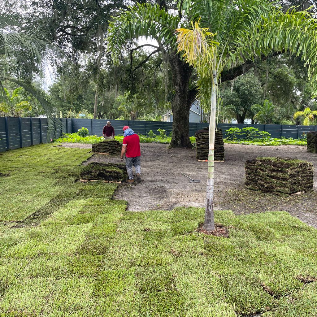 General sod and landscaping