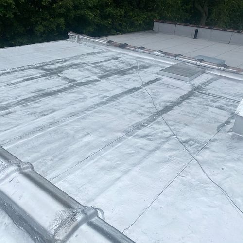 Roof Repair or Maintenance