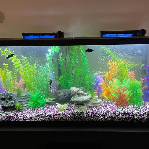 Our tank looks amazing. The owner was very knowled