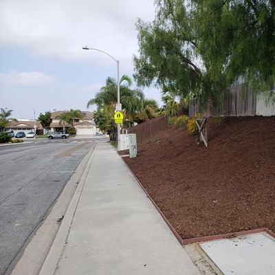 Avatar for Hope landscaping