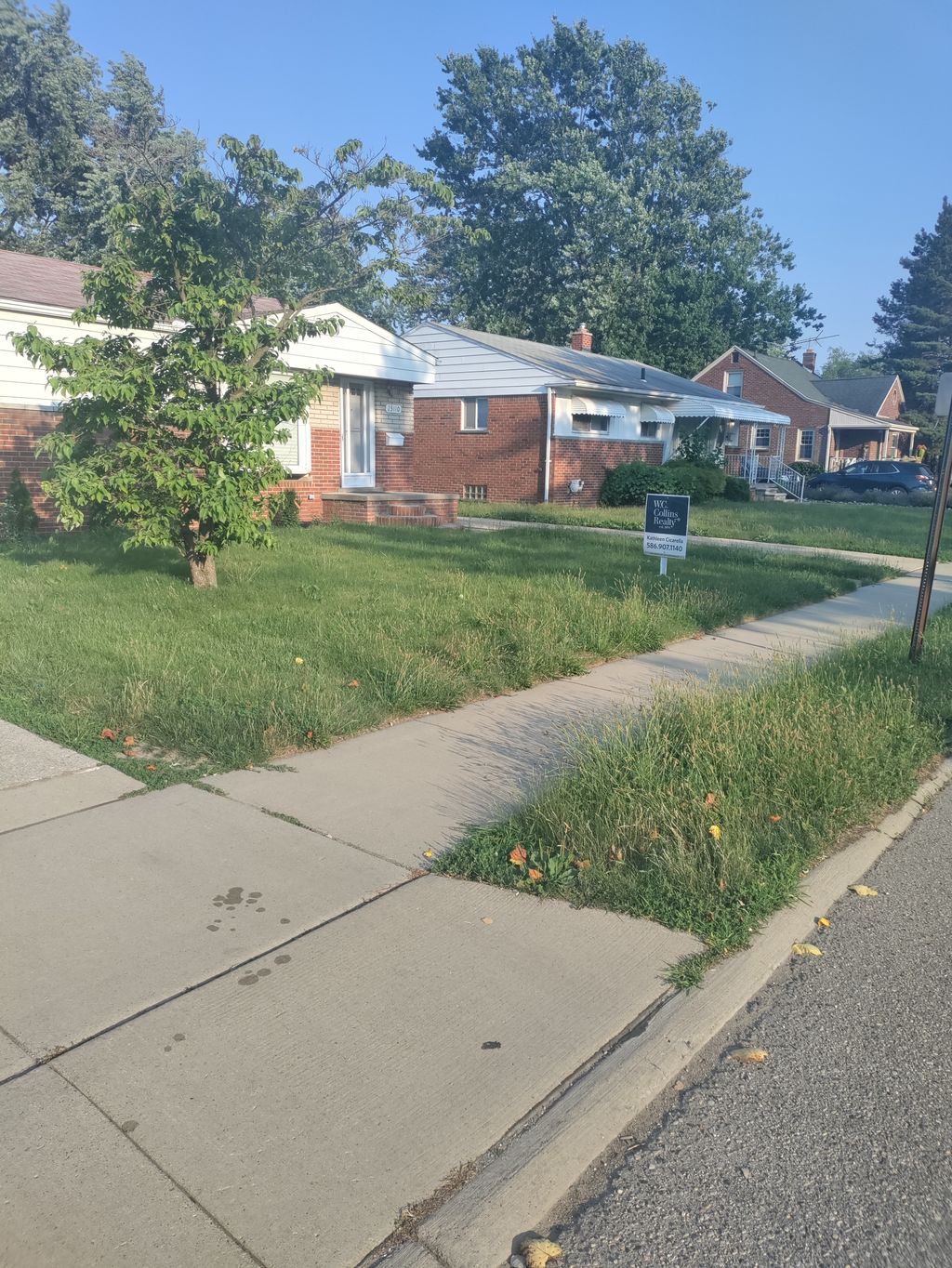 Lawn Mowing and Trimming