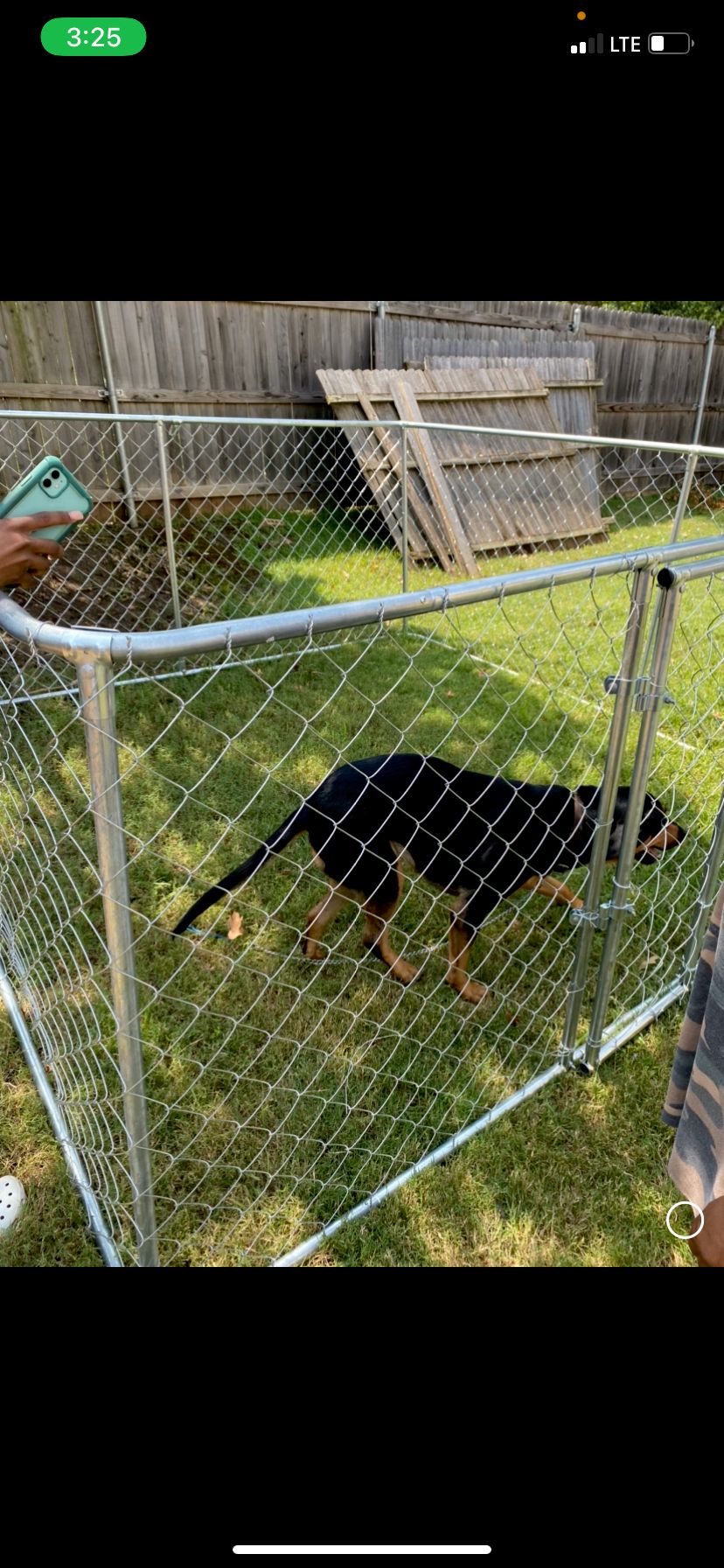 Dog Fence Installation