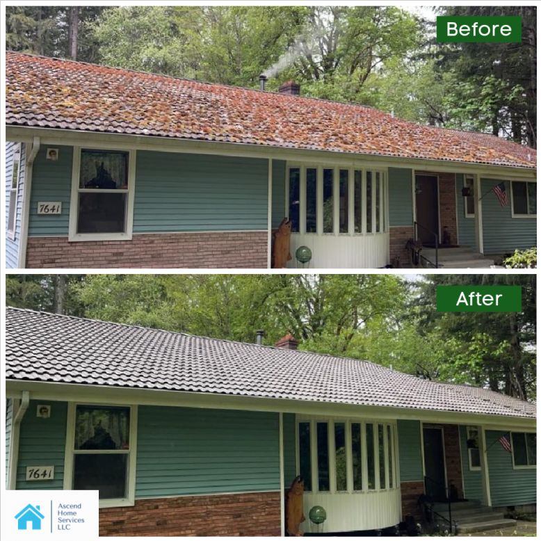 Clay Shingle Roof Cleaning