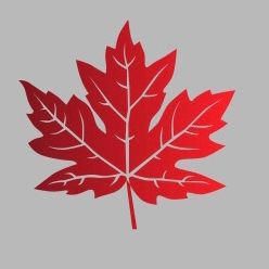 Avatar for Maple leaves