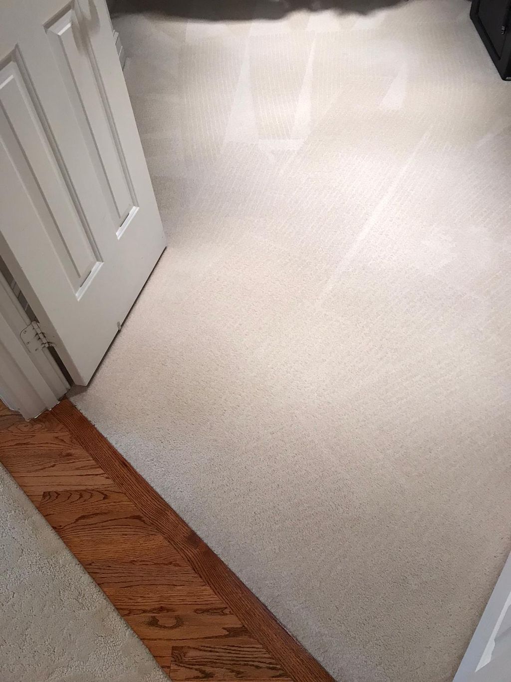 Carpet Cleaning