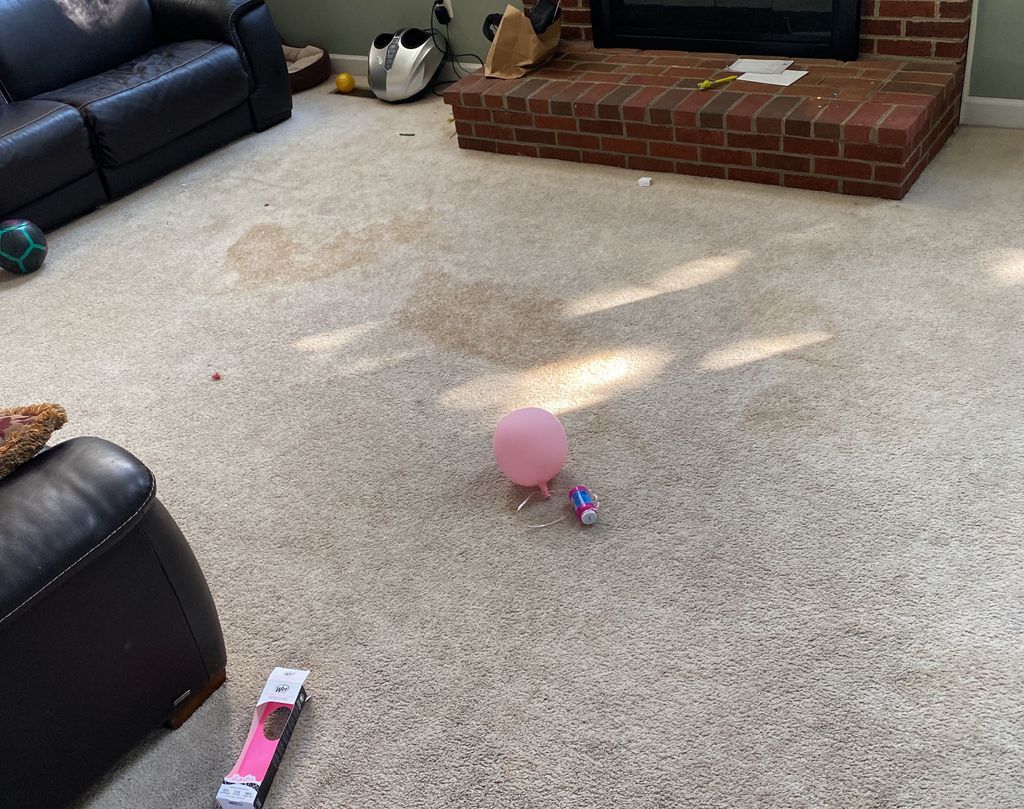 Dog Urine Stain Before 