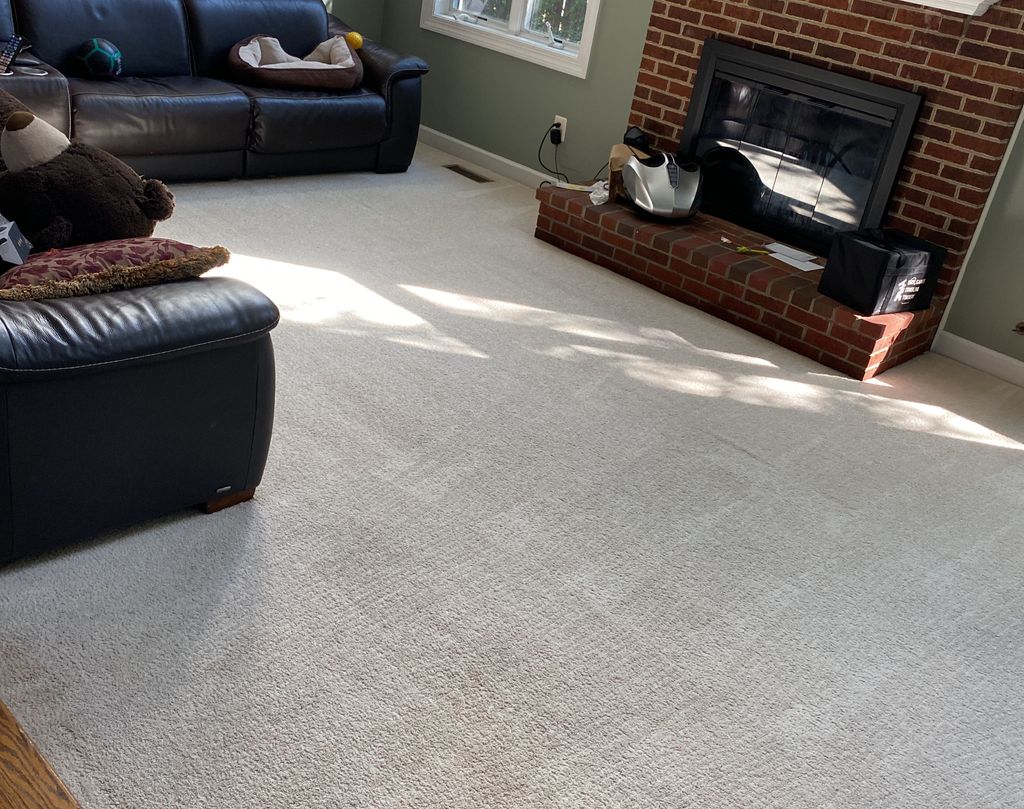 After Cleaning Dog Urine Stain