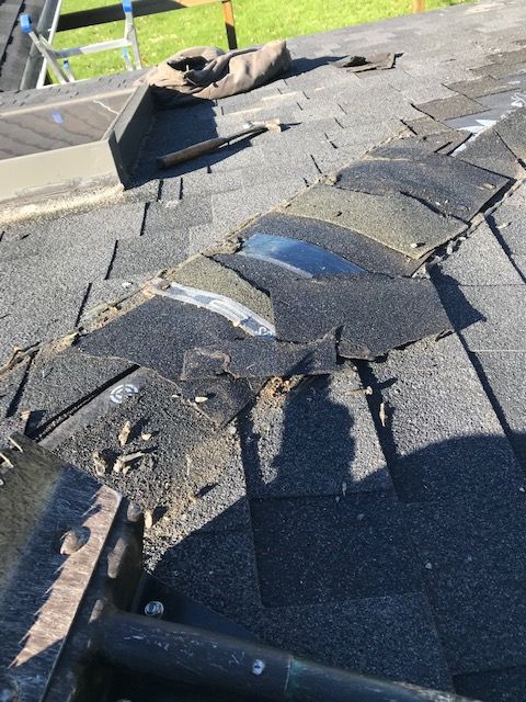 Roof Repair or Maintenance