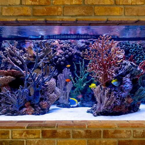 Aquarium Services