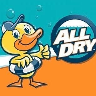 Avatar for All Dry Services