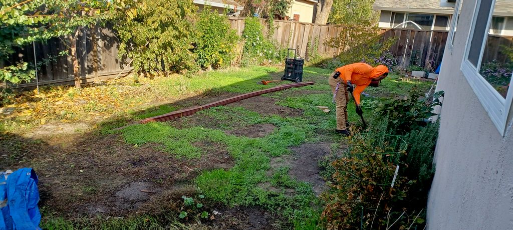 before new sod 