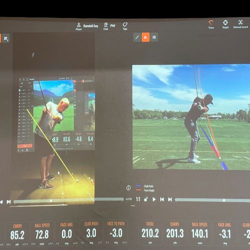 We can compare you to PGA professionals to visuall