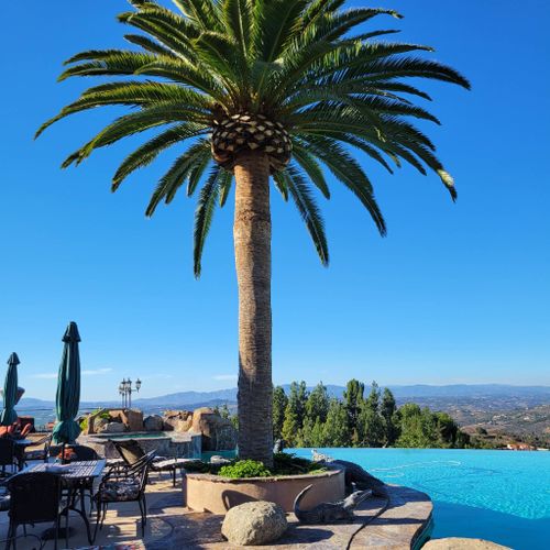 Rising Oak Tree Service & Landscaping Profile Picture
