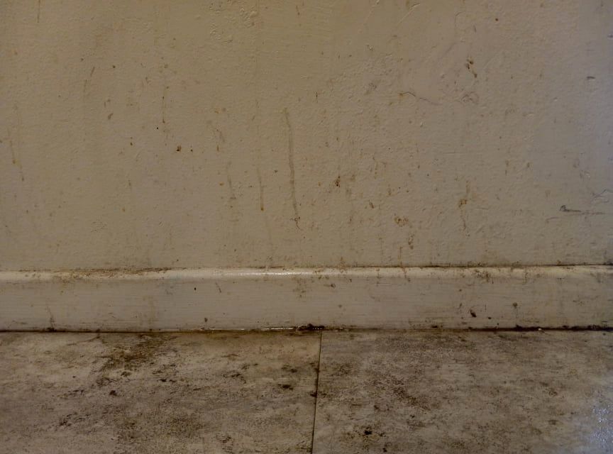 BEFORE Trim wall floor