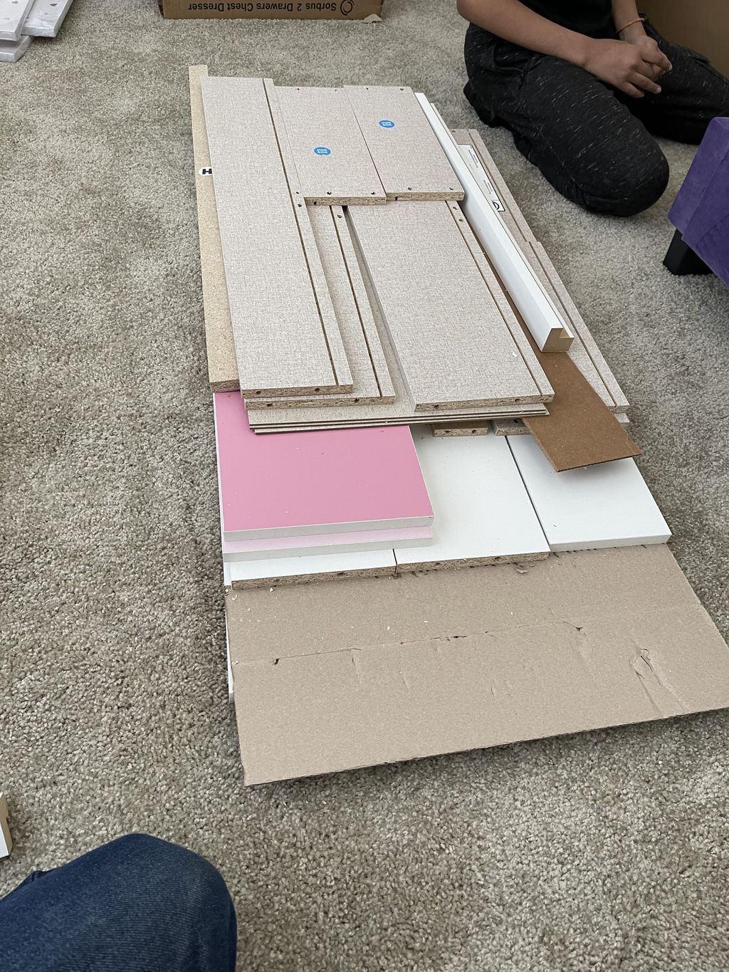 Projects and media