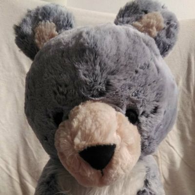 Avatar for Blue Bear Recycling