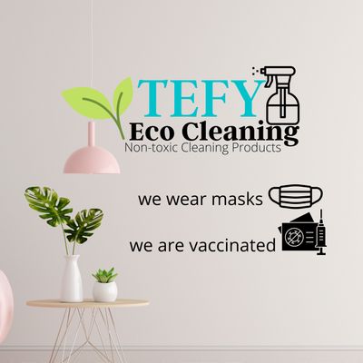 Avatar for TEFY  ECO CLEANING SERVICE