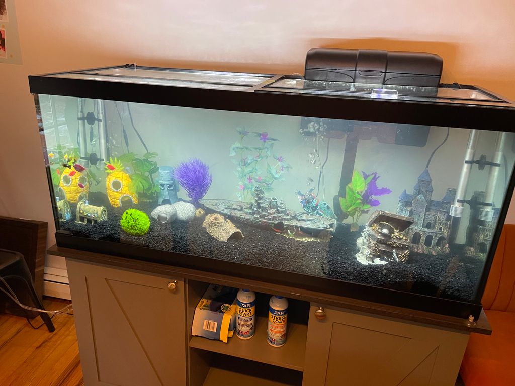 Aquarium Services