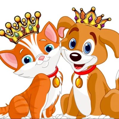 Avatar for Reigning Cats and Dogs Pet Sitting Service LLC