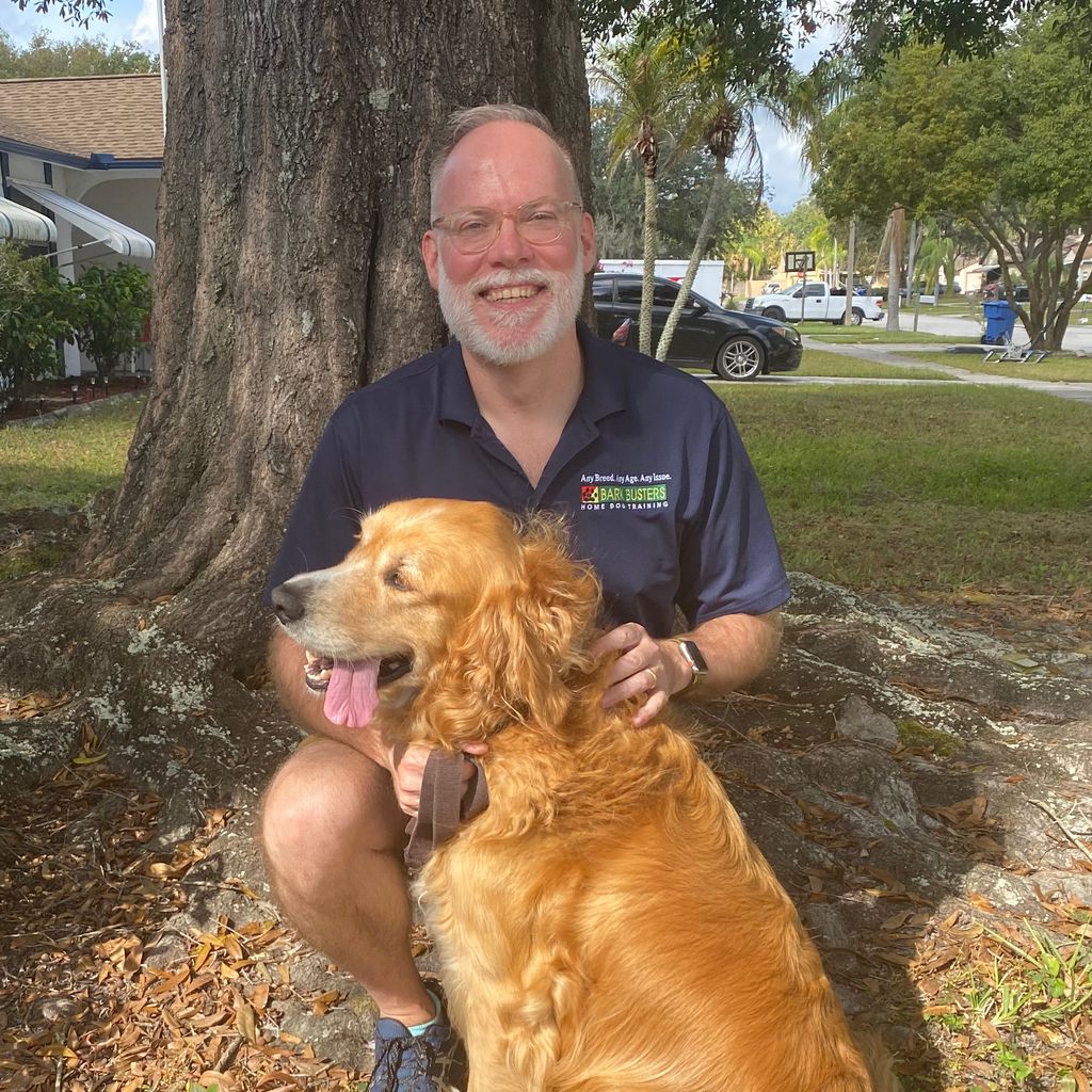 Bark Busters Home Dog Training Tampa
