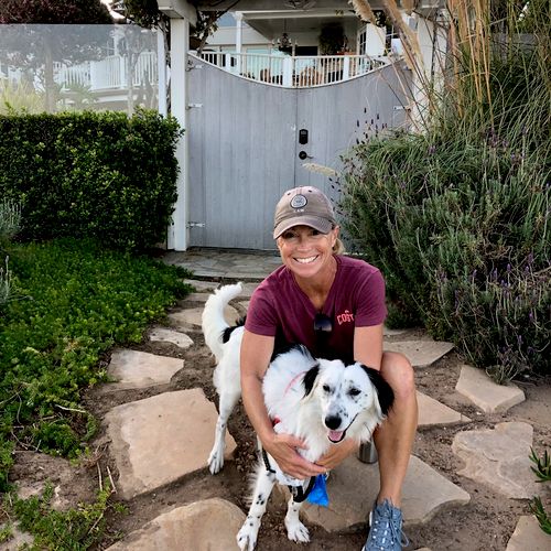 JLKMediation supports pet adoptions and pet charit